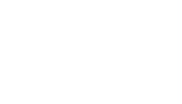 Japan Pizza Festival